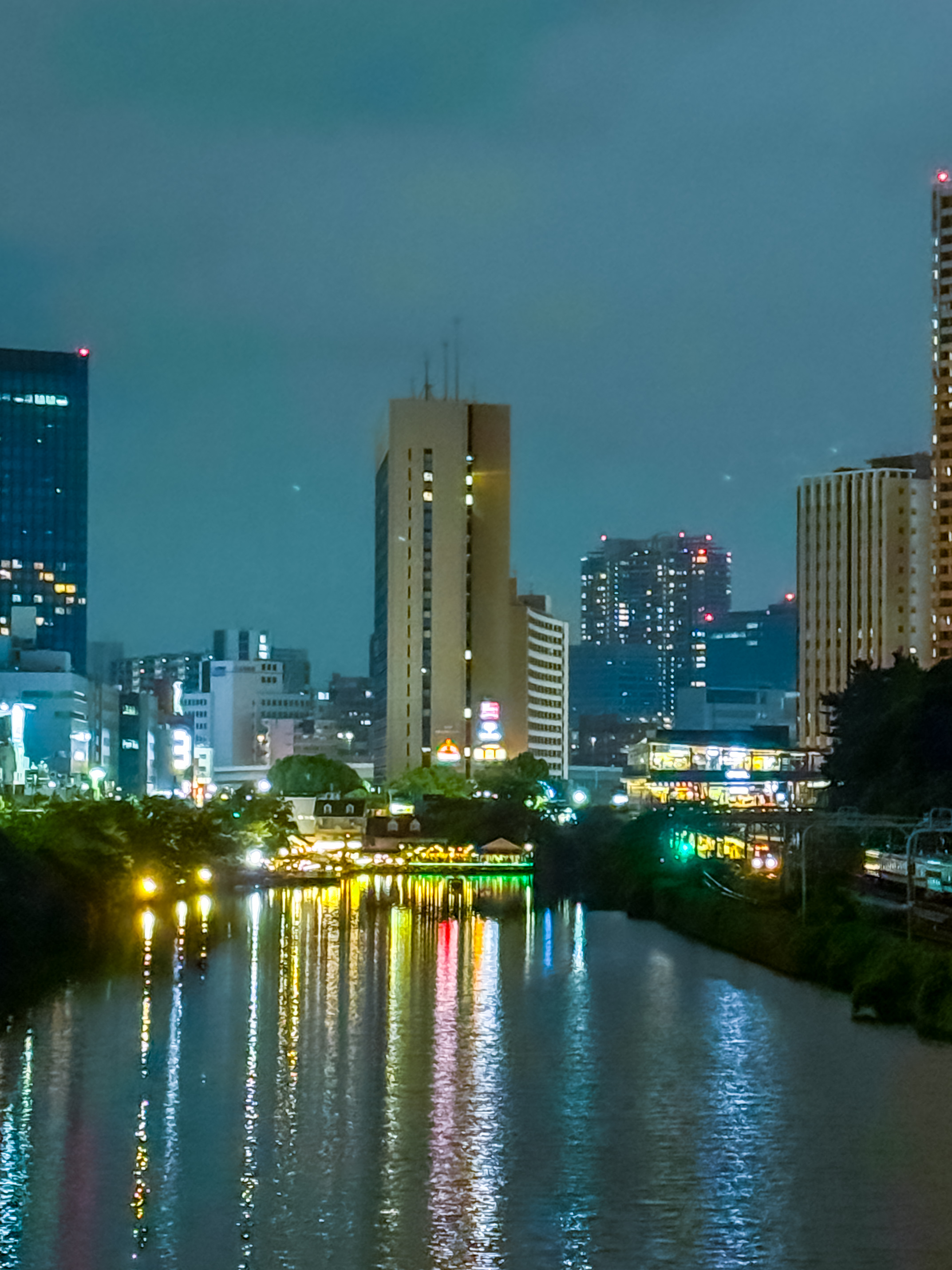 What Did Japan Give Me, and What Did It Take Away?